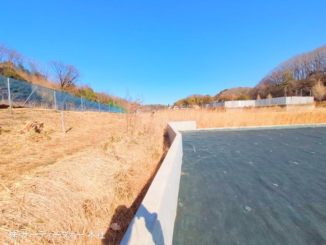 撮影日(2025-02-13 00:00:00)