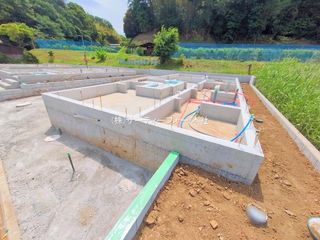撮影日(2025-05-15 00:00:00)