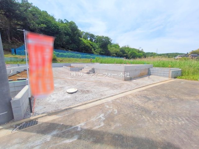 撮影日(2025-05-15 00:00:00)