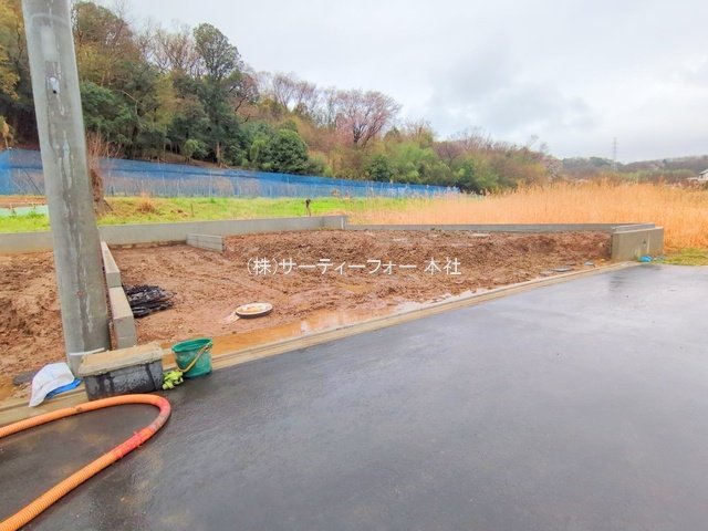 撮影日(2025-04-03 00:00:00)