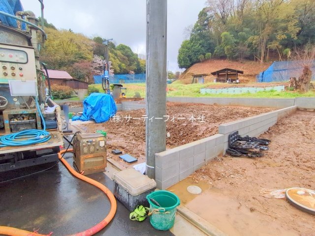 撮影日(2025-04-03 00:00:00)
