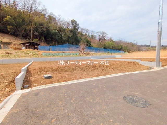 撮影日(2025-03-11 00:00:00)