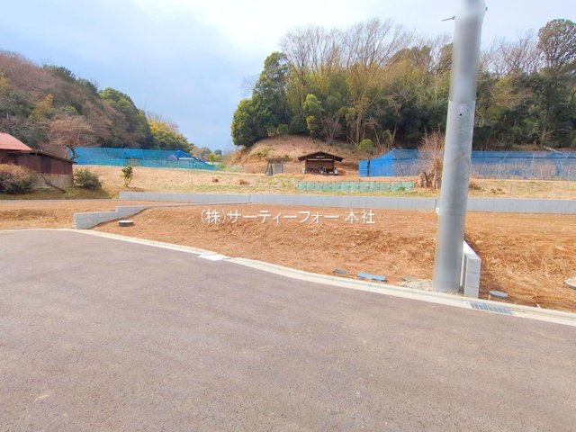 撮影日(2025-03-11 00:00:00)
