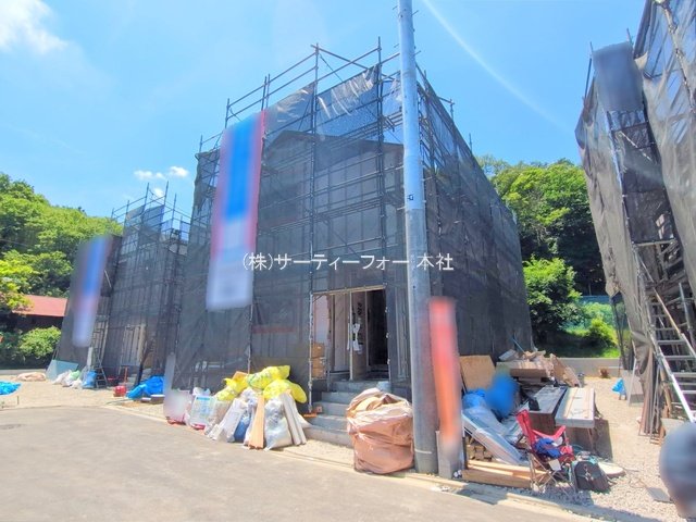 撮影日(2025-02-13 00:00:00)