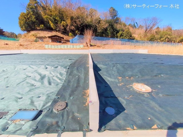 撮影日(2025-02-13 00:00:00)