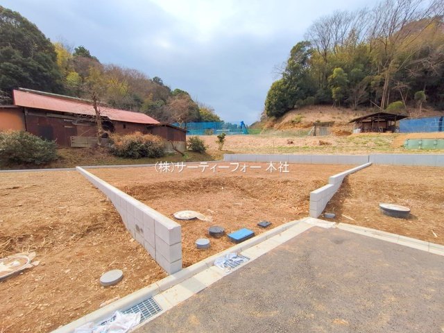 撮影日(2025-03-11 00:00:00)