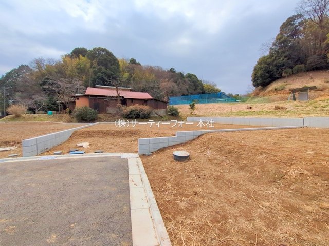 撮影日(2025-03-11 00:00:00)