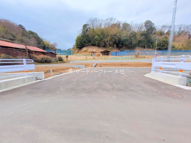 撮影日(2025-03-11 00:00:00)