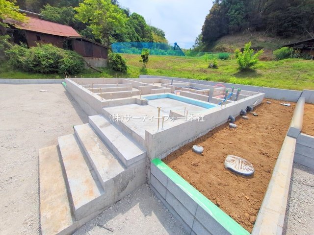 撮影日(2025-05-15 00:00:00)