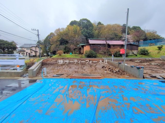 撮影日(2025-04-03 00:00:00)