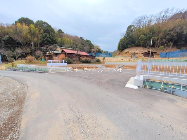 撮影日(2025-03-11 00:00:00)
