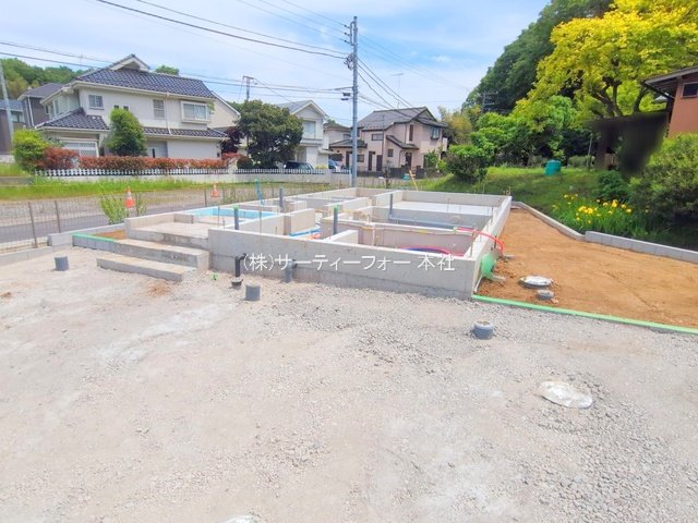 撮影日(2025-05-15 00:00:00)