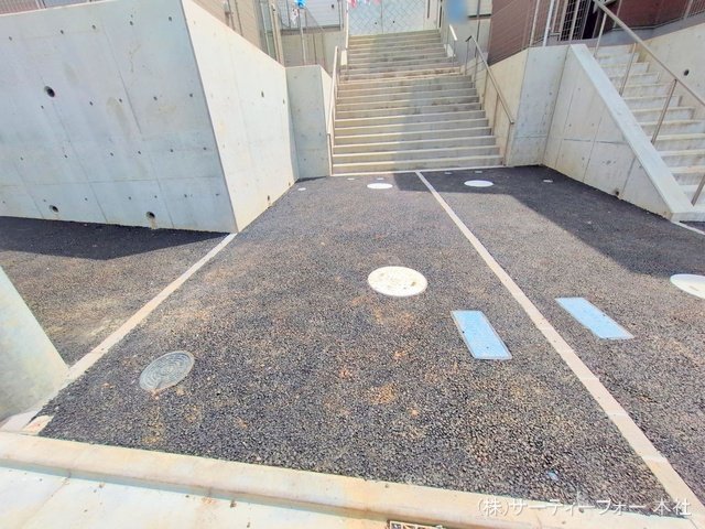 撮影日(2025-04-08 00:00:00)