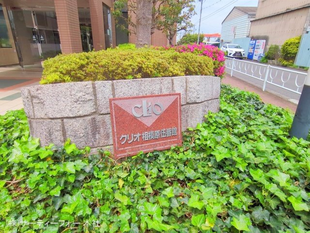 撮影日(2025-04-28 00:00:00)