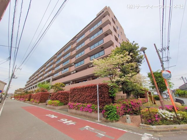 撮影日(2025-04-28 00:00:00)