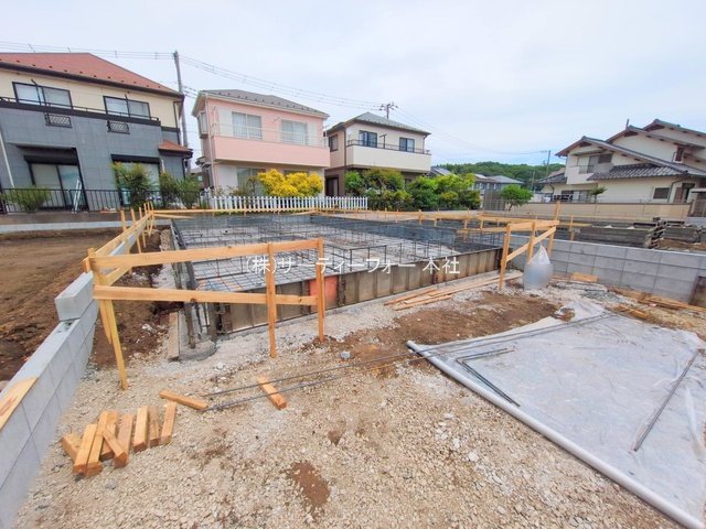 撮影日(2025-05-15 00:00:00)