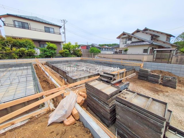 撮影日(2025-05-15 00:00:00)