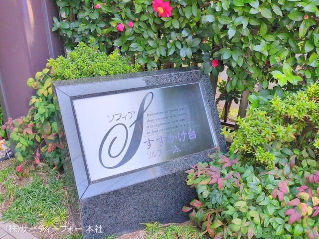 撮影日(2024-12-27 00:00:00)