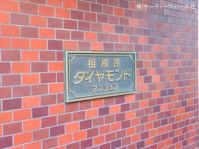 撮影日(2024-12-24 00:00:00)