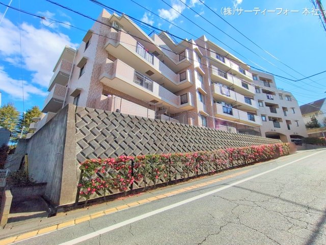 撮影日(2025-02-04 00:00:00)