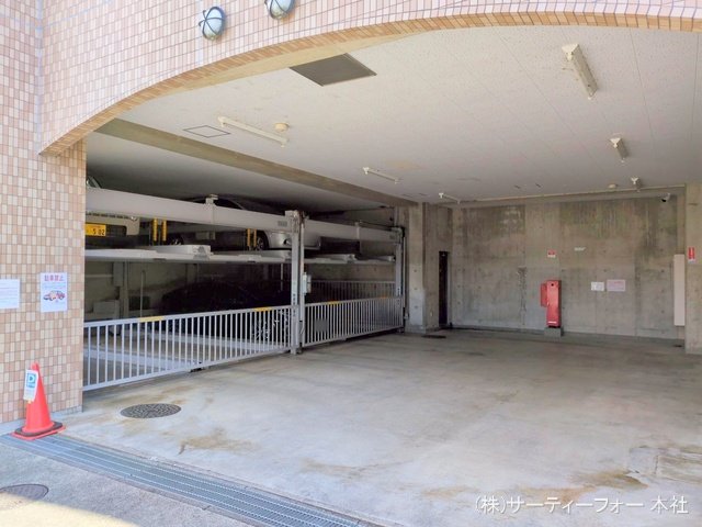 撮影日(2025-02-04 00:00:00)