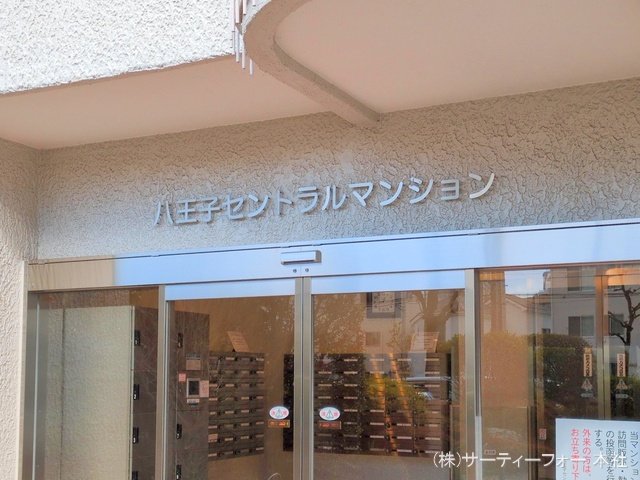 撮影日(2025-02-07 00:00:00)