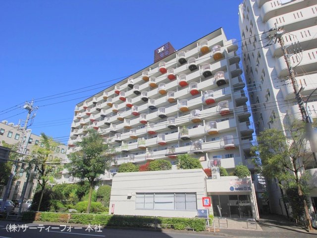 撮影日(2023-11-08 00:00:00)