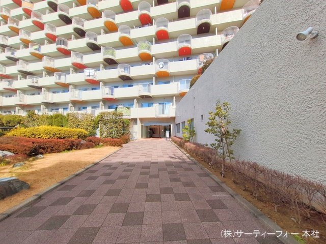 撮影日(2025-02-07)