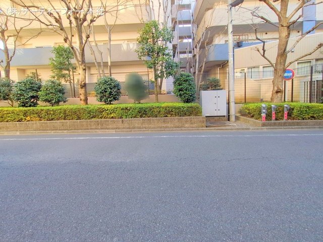 撮影日(2025-02-14 00:00:00)
