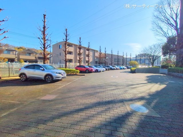 撮影日(2025-03-13 00:00:00)