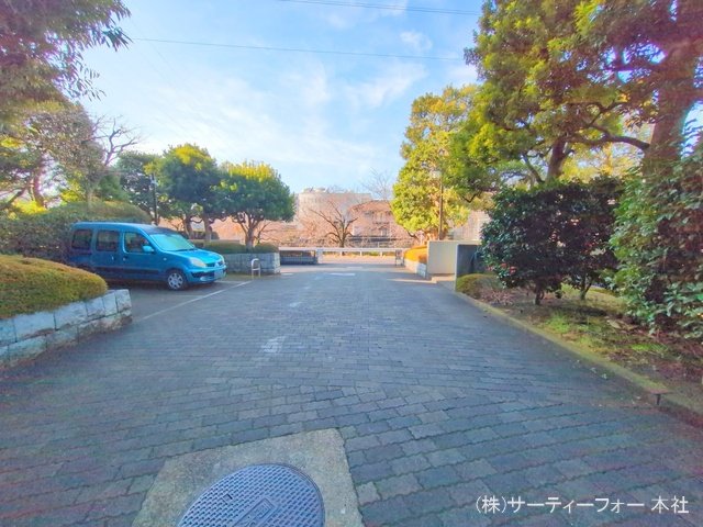 撮影日(2025-03-13 00:00:00)