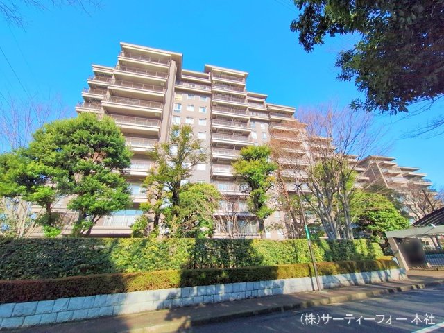 撮影日(2025-03-13 00:00:00)