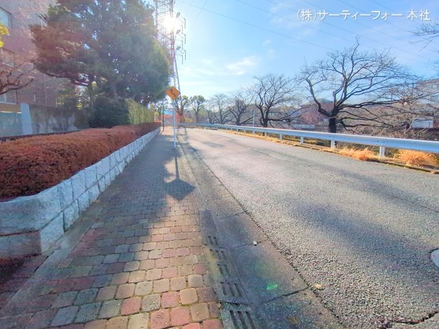 撮影日(2025-03-13 00:00:00)
