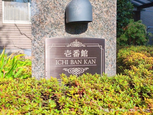 撮影日(2025-03-13 00:00:00)