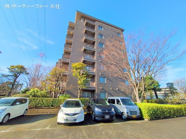 撮影日(2025-03-13 00:00:00)