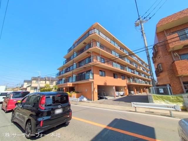 撮影日(2025-03-21 00:00:00)