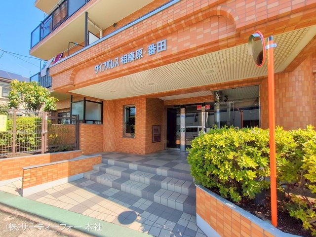 撮影日(2025-03-21 00:00:00)