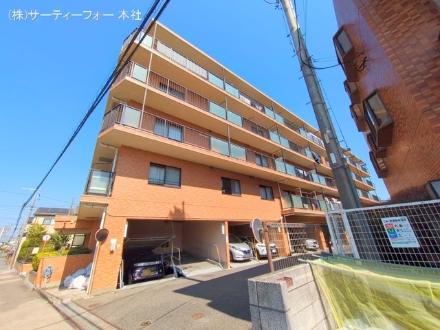 撮影日(2025-03-21 00:00:00)