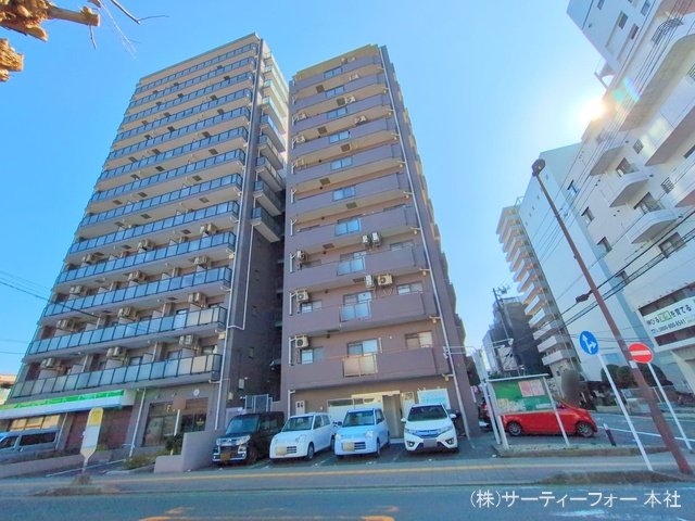 撮影日(2025-03-21 00:00:00)