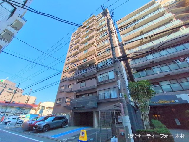 撮影日(2025-03-21 00:00:00)