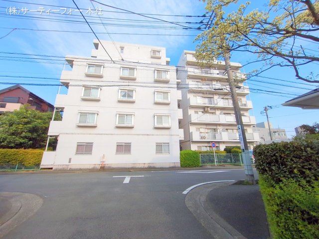 撮影日(2025-04-17 00:00:00)