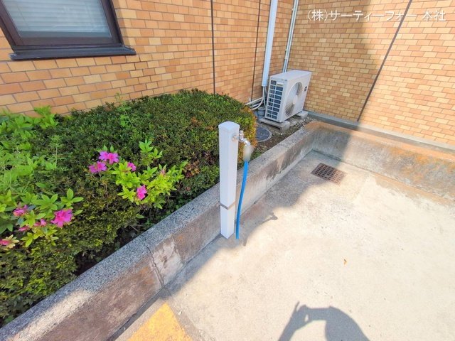 撮影日(2025-04-17 00:00:00)