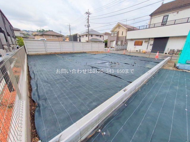 撮影日(2025-06-12 00:00:00)