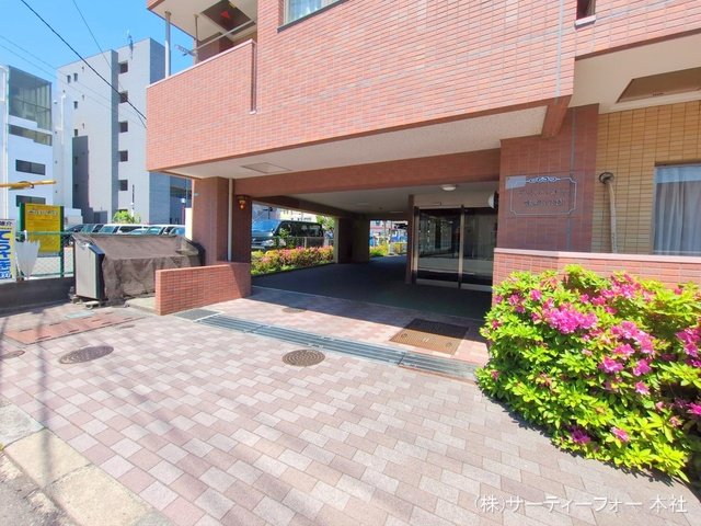 撮影日(2025-04-30 00:00:00)