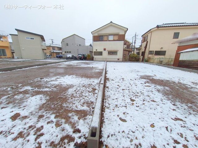 撮影日(2025-03-19 00:00:00)