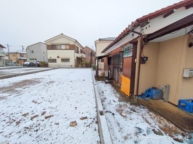 撮影日(2025-03-19 00:00:00)