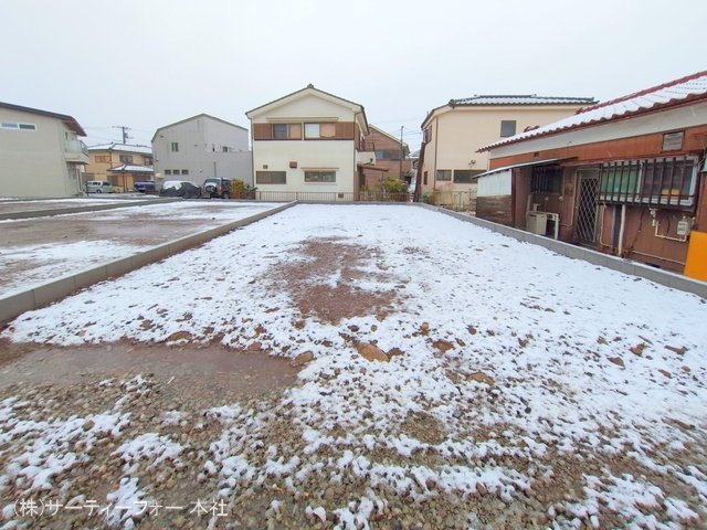 撮影日(2025-03-19 00:00:00)