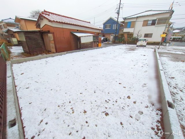 撮影日(2025-03-19 00:00:00)