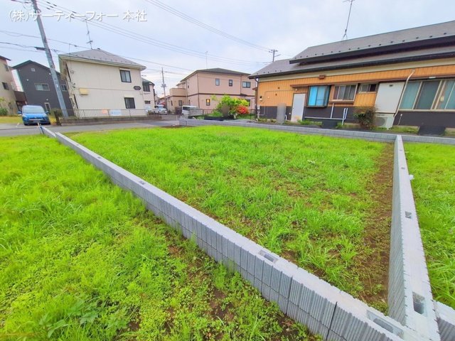 撮影日(2025-04-28 00:00:00)