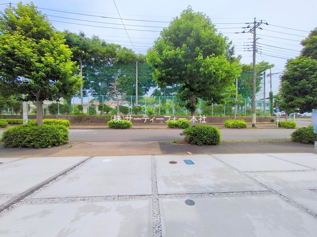 撮影日(2025-05-29 00:00:00)
